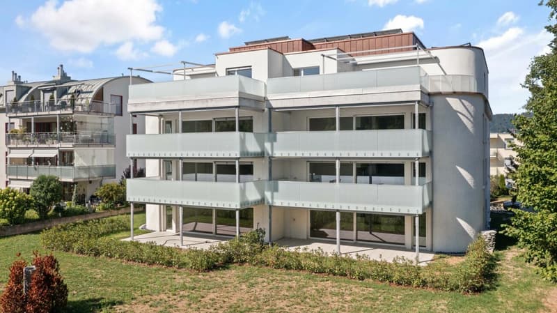 Light, View and Location - Modern Living in Dietikon (11)