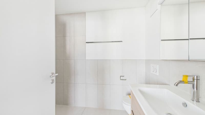 Living with a wide view in an attractive location in Dietikon (13)