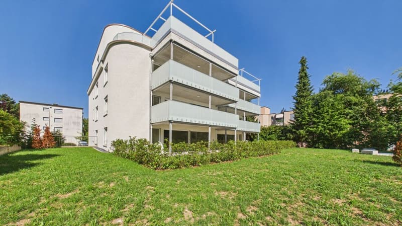 Wohnen mit Weitblick an attraktiver Lage in Dietikon (1)