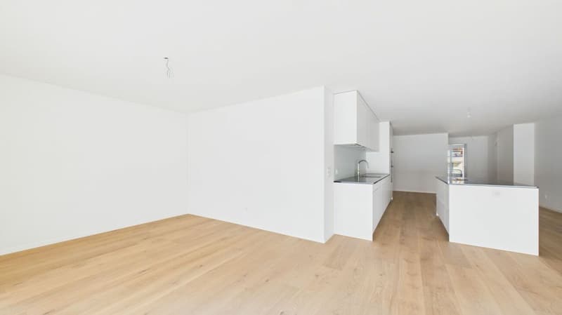 Living with comfort and proximity - attractive location in Dietikon (6)