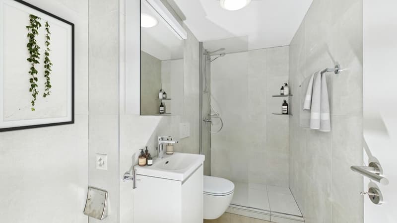 Freshly renovated 3.5-room apartment with plenty of light and modern living comfort (5)