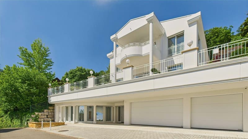 Classical elegance with a far-reaching view - an extraordinary property in Geroldswil (7)