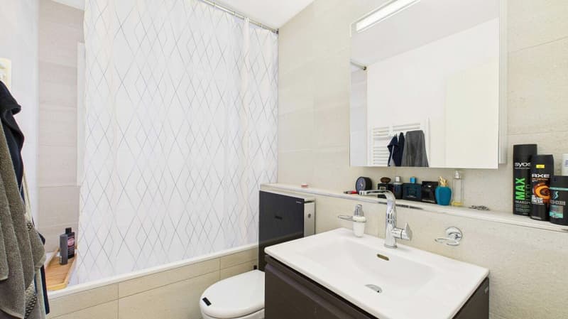 Attractive rental property in Dietikon - renovated 3.5-room apartment with studio (11)