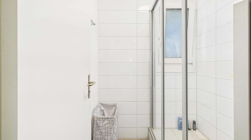 Attractive rental property in Dietikon - renovated 3.5-room apartment with studio (10)