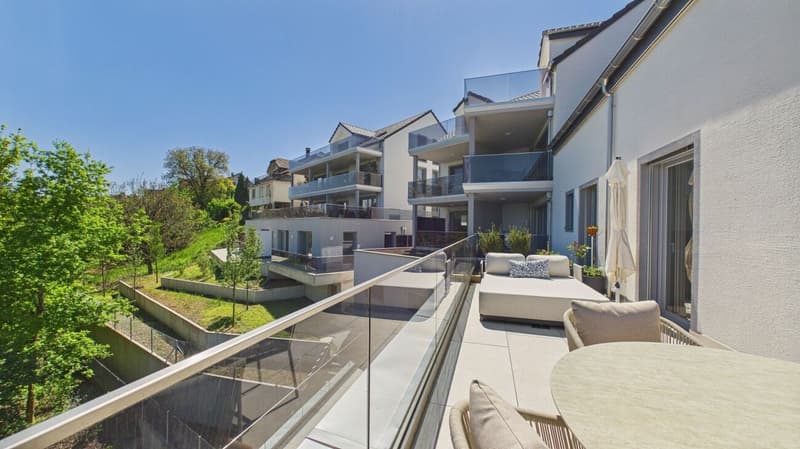 Living with a view - Your home with a view of Lake Hallwil (4)