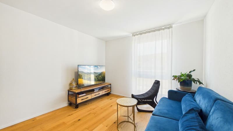 Living with a view - Your home with a view of Lake Hallwil (12)