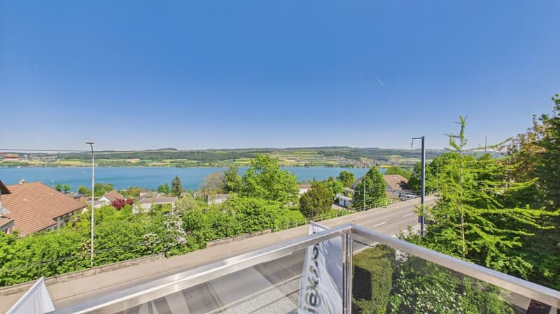 Living with a view - Your home with a view of Lake Hallwil (13)