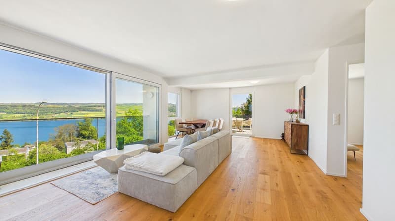 Living with a view - Your home with a view of Lake Hallwil (2)