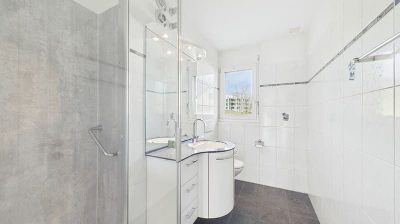 Bright 4.5-room apartment with impressive mountain and nature views (13)