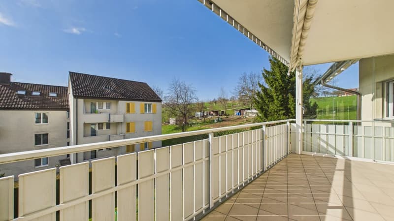 Appartement lumineux 4.5 pièces avec vue imprenable sur les montagnes et la nature (12)