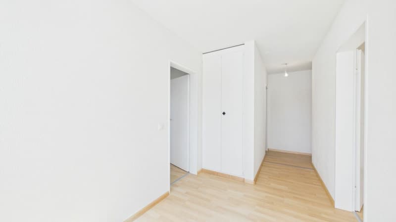 Bright 4-room apartment in a central location in Wettingen (7)