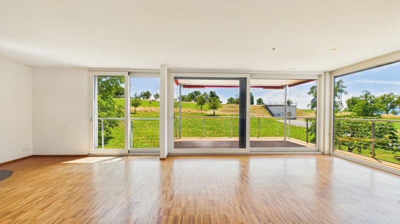 Appartement de location unique de 4,5 pièces avec vue imprenable à Zürich-Witikon (2)