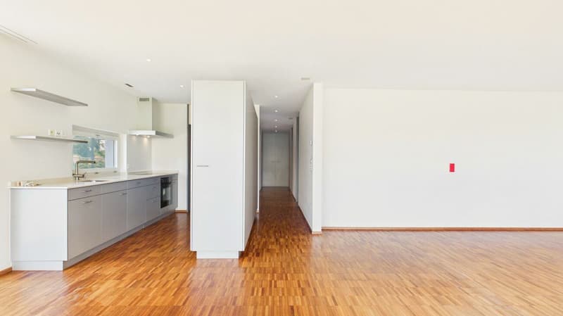 Appartement de location unique de 4,5 pièces avec vue imprenable à Zürich-Witikon (5)
