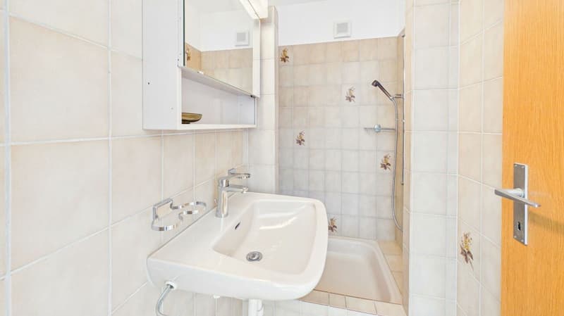 Maison mitoyenne de 4,5 pièces charmante avec cuisine neuve, jardin et cheminée (13)