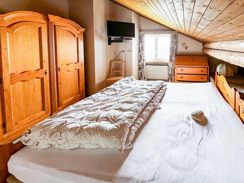 Ferienwohnung direkt gegenüber Skilift "Einmalige Gelegenheit" (18)