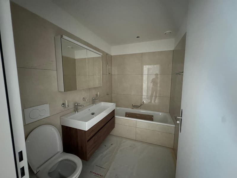 Luxuriöse Neubauwohnungen 3.5 bis 4.5 Zimmer mit Balkon oder Sitzplatz und Top-Ausstattung (3)