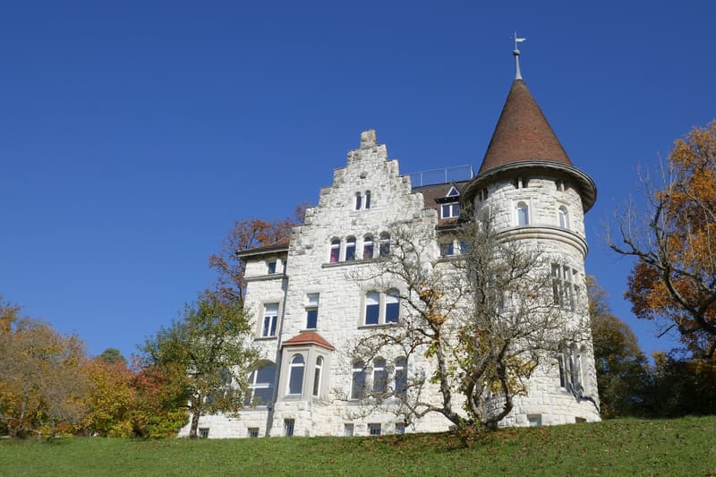 Einzigartige 4.5-Zimmerwohnung mit Terrasse in der Villa Rheinbühl (1)