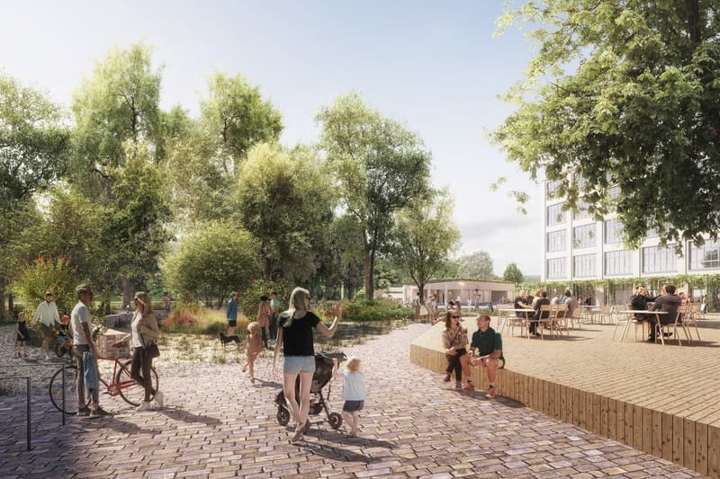 Trees, people walking, people sitting, benches, paved path