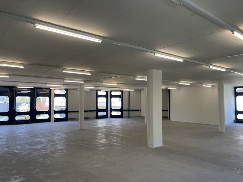 263m² Büro, 8303 Bassersdorf (4)