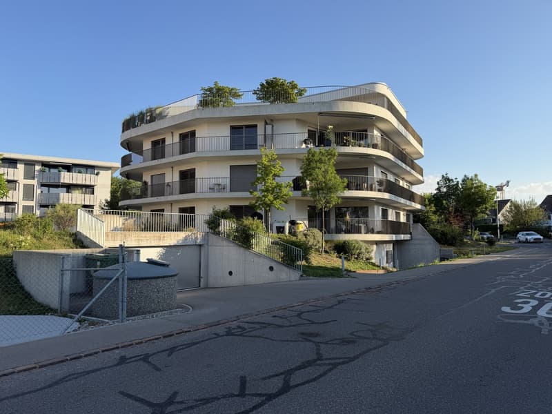 Votre nouveau domicile : appartement exclusif 4.5 pièces à Fehraltorf (1)