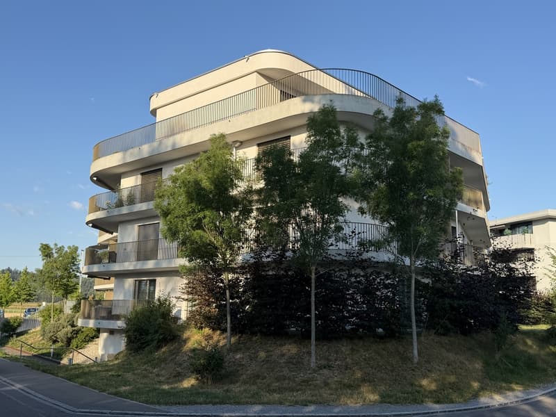 Votre nouveau domicile : appartement exclusif 4.5 pièces à Fehraltorf (10)