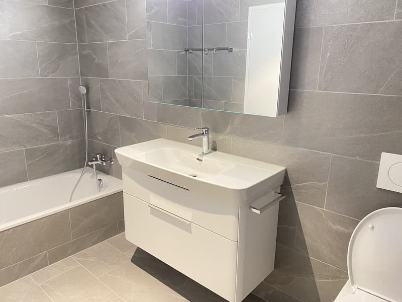 Votre nouveau domicile : appartement exclusif 4.5 pièces à Fehraltorf (6)