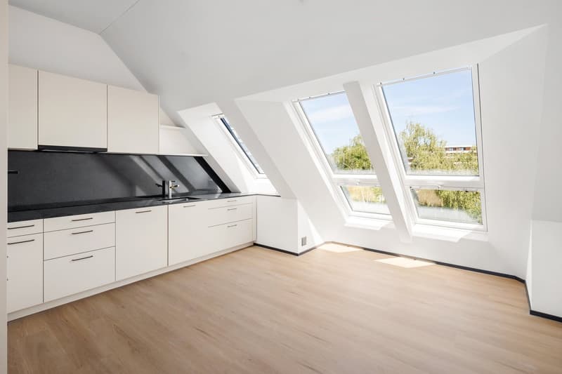 Moderne 4.5-Zimmer-Dachwohnung - Cool durch den Sommer dank Free Cooling-System (3)