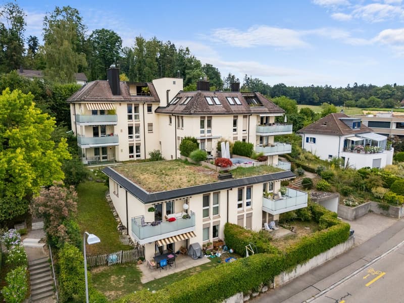 Incantevole appartamento di 5,5 locali in mansarda a Zürich-Höngg (12)