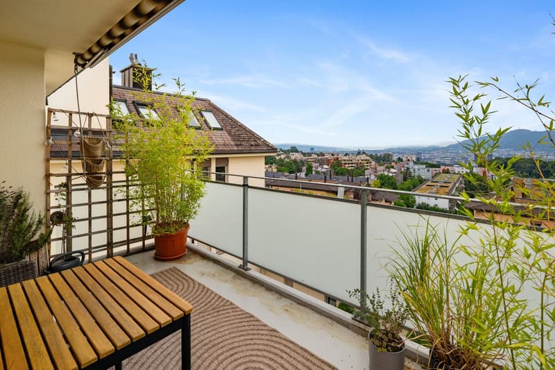 Incantevole appartamento di 5,5 locali in mansarda a Zürich-Höngg (8)