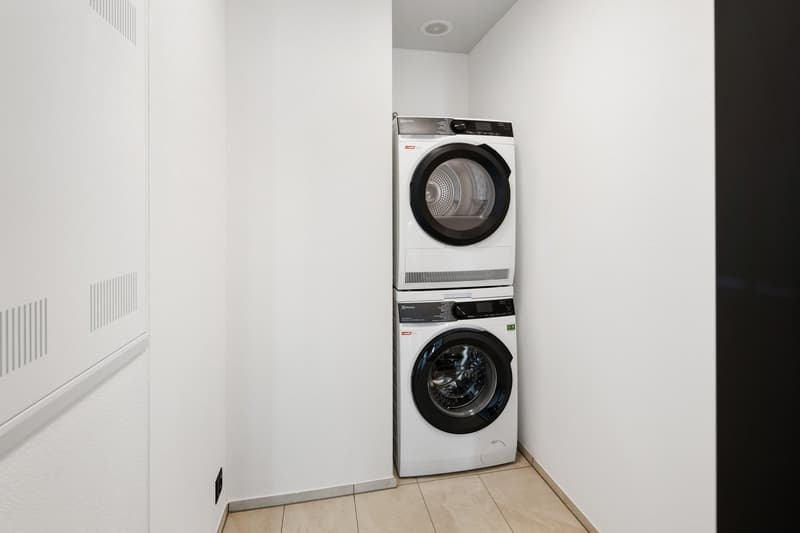 Neubau: Grosse, stilvolle 4.5-Zimmer-Wohnung mit Balkon und Loggia (15)
