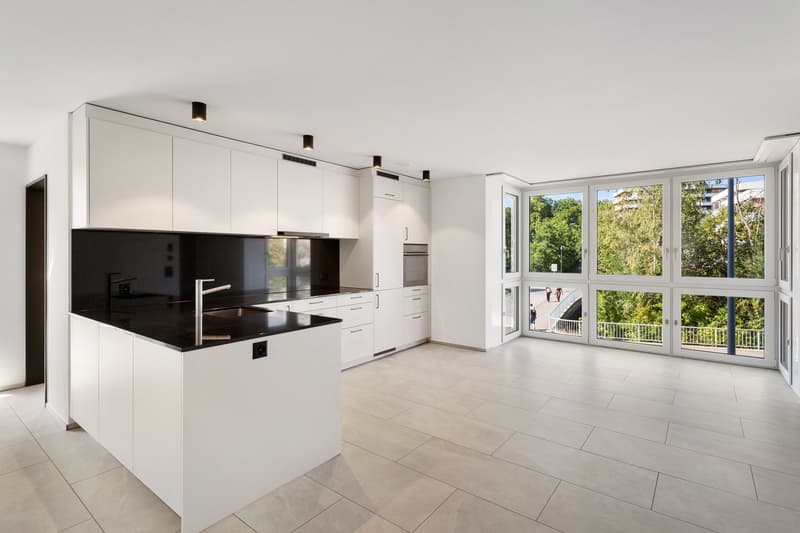 Neubau: Grosse, stilvolle 4.5-Zimmer-Wohnung mit Balkon und Loggia (2)