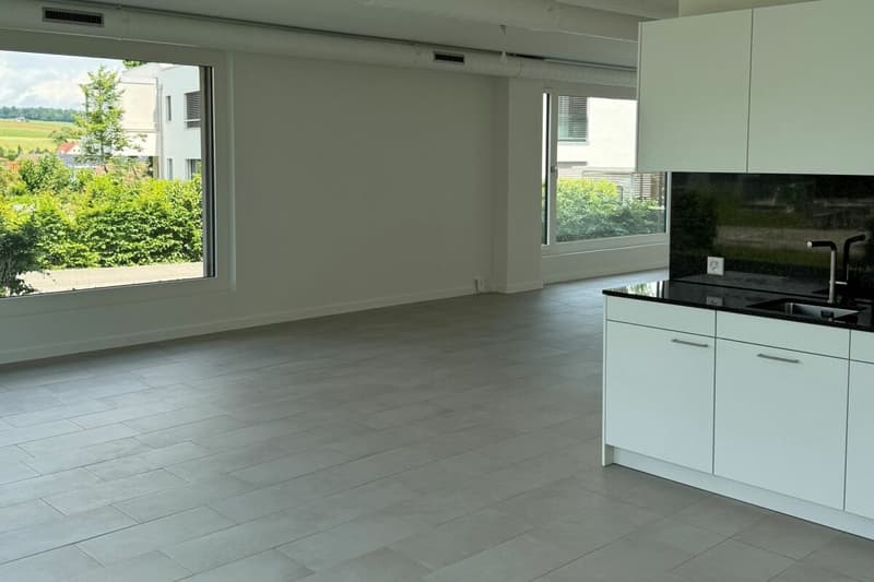 Spazio commerciale per ufficio, studio o yoga a Langwiesen (3)