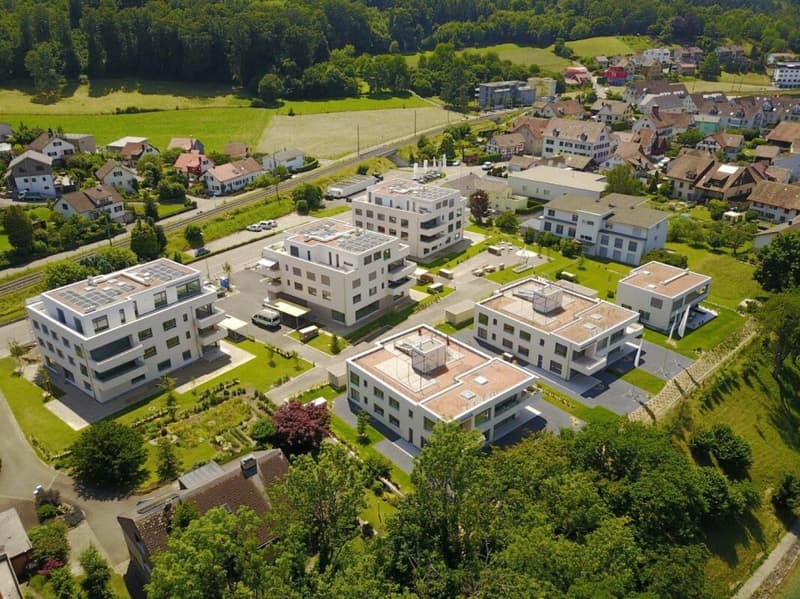 Spazio commerciale per ufficio, studio o yoga a Langwiesen (2)