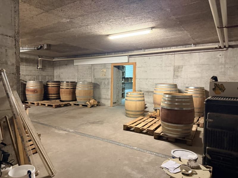 Grosszügige Lagerfläche mit Büro-/Verkaufsraum (5)