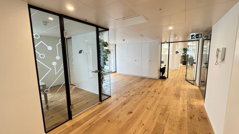 Modernes Einzelbüro in der Seidengasse - Zürich Altstadt (4)
