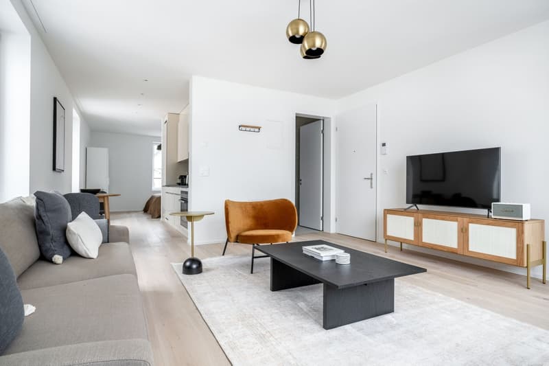 Luxury Wiedikon 2.0 rooms, basement, W/T. 3 minutes to market, via Blueground (4)