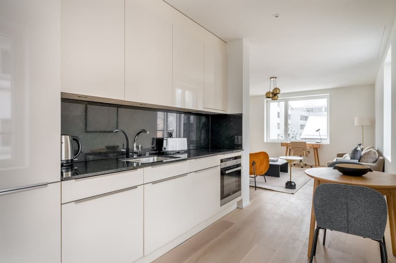 Luxury Wiedikon 2.0 rooms, basement, W/T. 3 minutes to market, via Blueground (6)