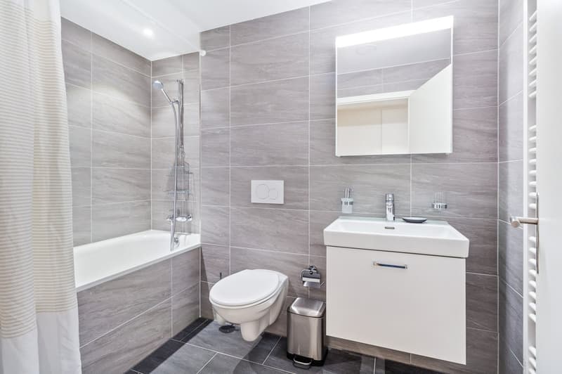 3.5 rooms in Oerlikon, close to the station, fully furnished, flexible immediate booking (12)