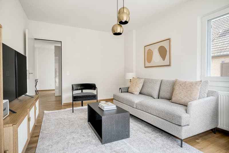 Airy Wiedikon, 2.5 rooms & cellar, W/T, 2 minutes to tram (2)