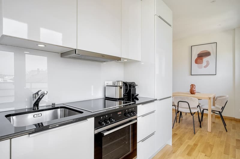 Airy Wiedikon, 2.5 rooms & cellar, W/T, 2 minutes to tram (9)