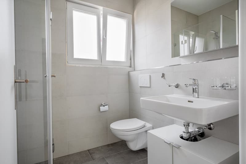 Airy Wiedikon, 2.5 rooms & cellar, W/T, 2 minutes to tram (15)