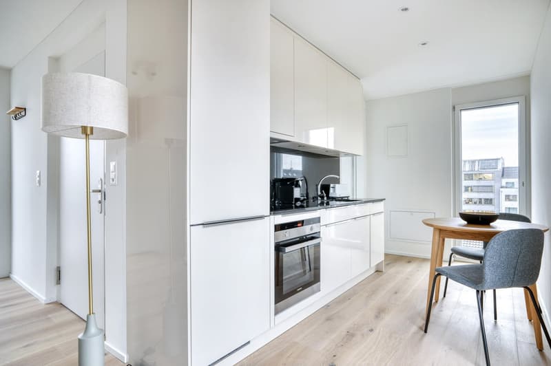 Renovated 1.5 rooms, basement, W/T. 3 minutes in the heart of Wiedikon (7)