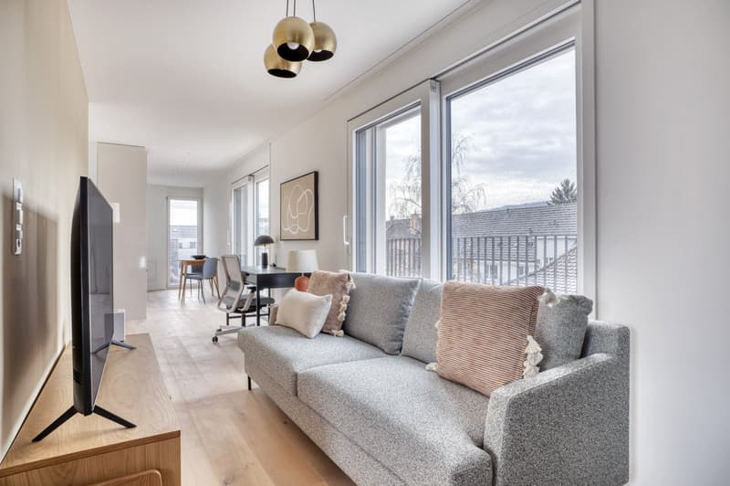 Renovated 1.5 rooms, basement, W/T. 3 minutes in the heart of Wiedikon (2)