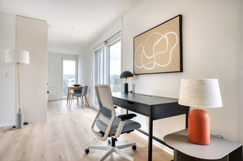 Renovated 1.5 rooms, basement, W/T. 3 minutes in the heart of Wiedikon (3)