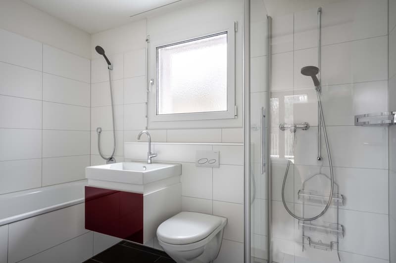 Ideal Leimbach 2.5 rooms + basement + W/T. 5 minutes to market, via Blueground (15)