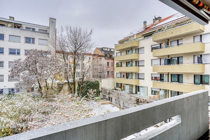 Eccezionale Gundeldingen 1 stanza con cantina, vicino a Basel HB (4)