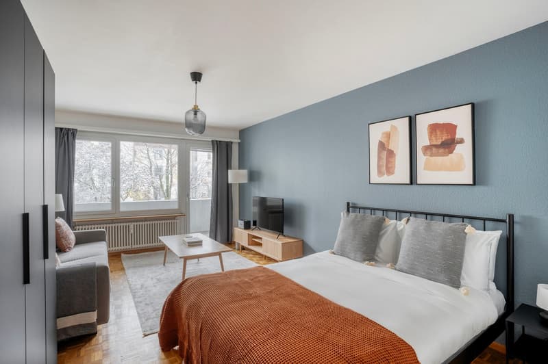 Eccezionale Gundeldingen 1 stanza con cantina, vicino a Basel HB (8)