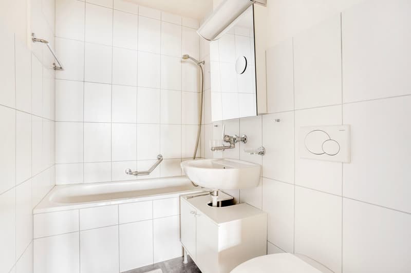 Eccezionale Gundeldingen 1 stanza con cantina, vicino a Basel HB (12)