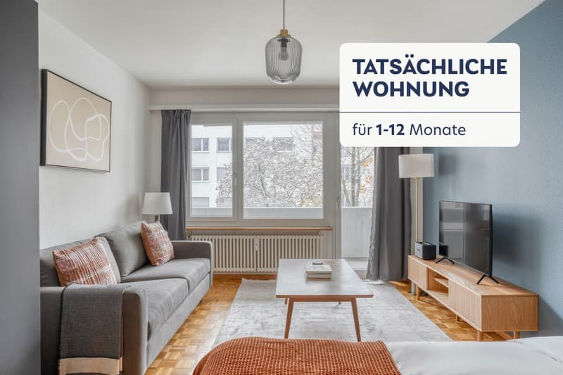 Eccezionale Gundeldingen 1 stanza con cantina, vicino a Basel HB (1)
