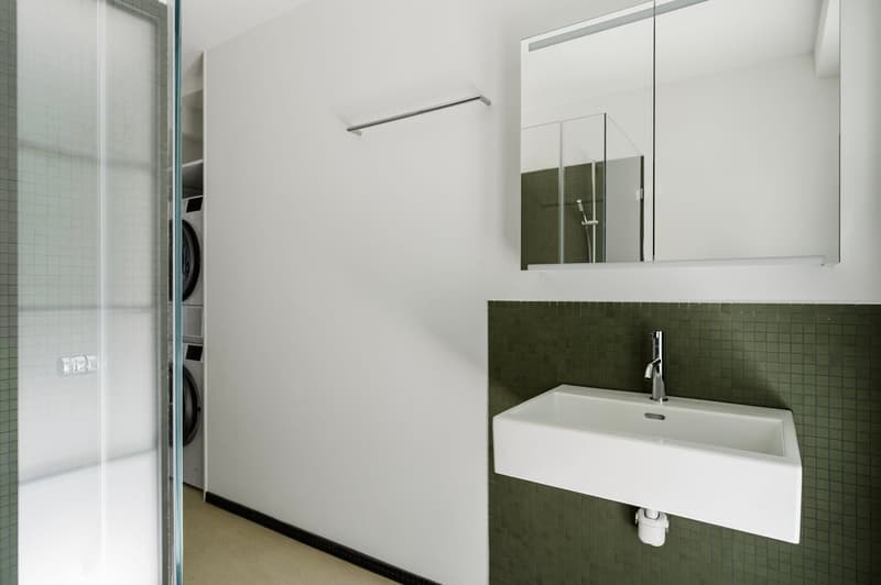 Comoda Horgen, vicino alla stazione SBB Horgen Oberdorf, di Blueground (15)